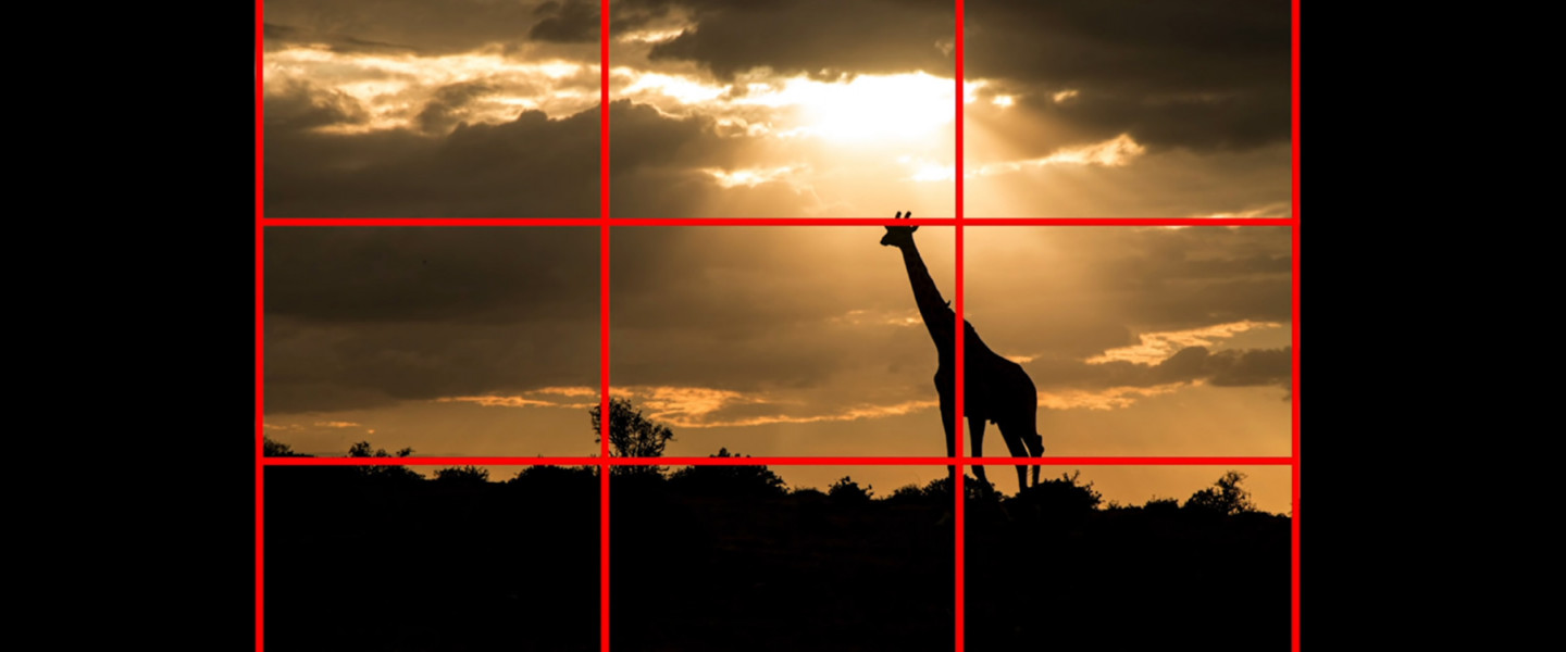 A felharmadolt zsiráf – Mi és a fotós tanfolyam